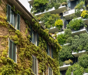 Commercial landscaping installation for office exterior with manicured gardens by Naturevalley