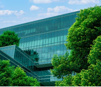 Commercial landscaping maintenance for retail plaza greenery by Naturevalley in Pakistan