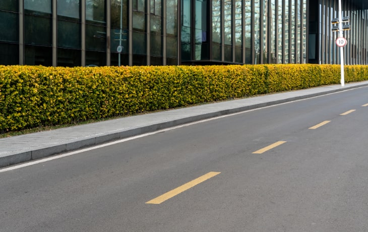 Completed green belt development project for housing society by Naturevalley Lahore