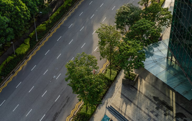 Green belt development project with tree-lined highway corridor by Naturevalley in Lahore