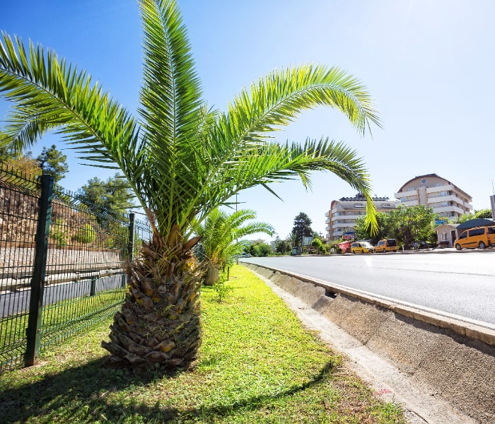 Green belt development with sustainable irrigation system installed by Naturevalley