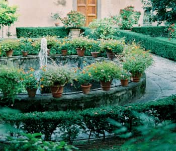 Residential garden pathway and outdoor living space designed by Naturevalley Pakistan