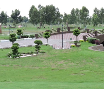 Society plantation communal green space with ornamental shrubs by Naturevalley Pakistan