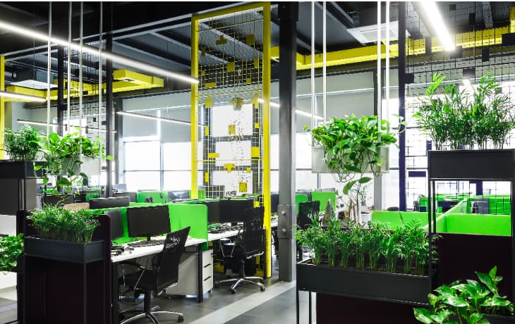 Office landscaping with indoor plants and green workspace design by Nature Valley Lahore