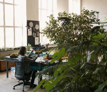Office landscaping outdoor break area with greenery designed by Nature Valley Pakistan